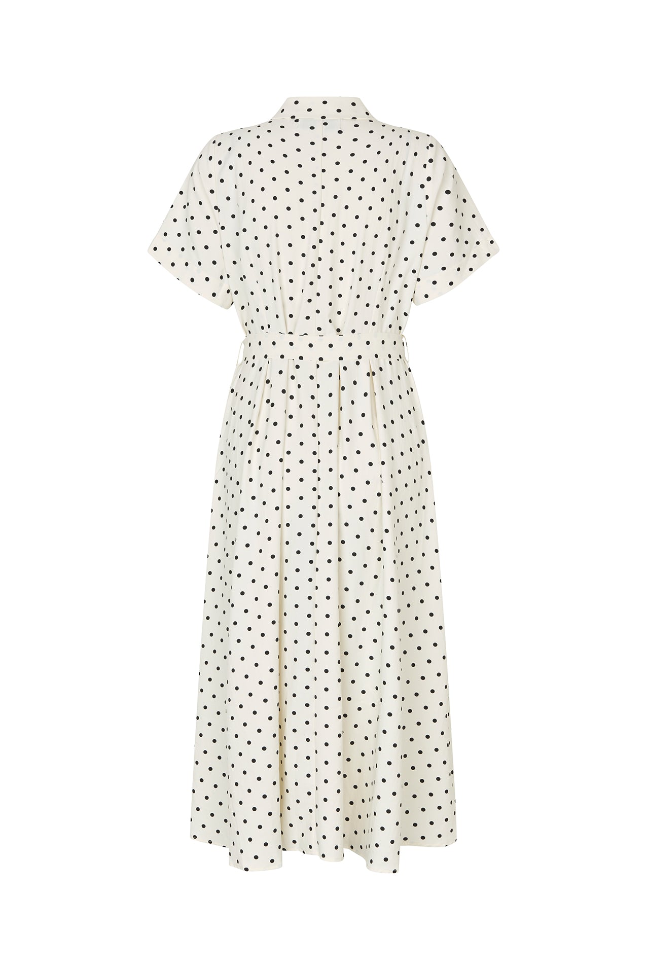 BlakeLL Midi Dress - Dot Print